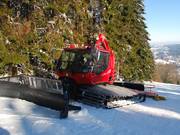 L'une des dix dameuses