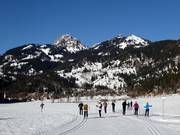Piste de ski de fond à Bayrischzell