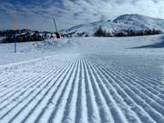 Préparation soignée