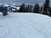 Sur la Wastlhöhe, il y a des pistes plates.