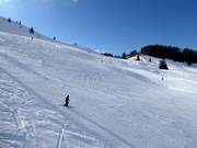 Piste difficile Waldkopf FIS