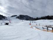 Vue sur la piste de ski du Katzenkopf