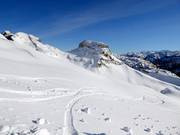 Traces fraîches dans la neige