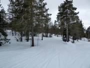 Piste facile dans le domaine skiable d’Ounasvaara