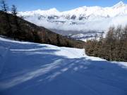 Piste difficile Arb