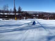 Lenny's Mini Snowpark