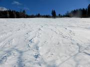 Pente freeride entre le Kapellenlift et le Scheuermattlift