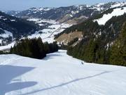 Descente Kreuzle du Riedberger Horn