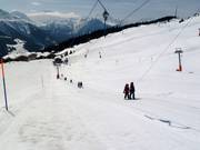 Trainer - Téléski à pioches