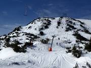 Steinkogel - Téléski à pioches