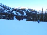 Piste intermédiaire Eagle Flight