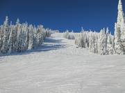 Vue sur la piste difficile Bluff