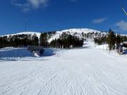 Piste familiale facile et large