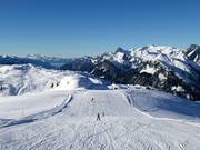 Descente Standard Muri