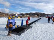 Ski Carpet No. 1 - Tapis roulant/Moving Carpet