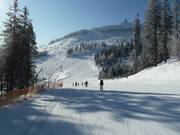Piste familiale avec vue sur le sommet de l'Arber