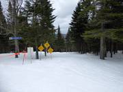 Piste difficile La Sapinière