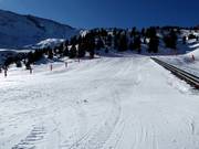 Piste pour débutants dans le parc Ampriu