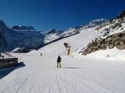 Golden Gate to the Glacier