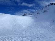 Itinéraire à ski 1 Golden Powder