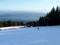 Pistes Grouse Mountain