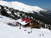 Chalet de restauration recommandé : The Goat