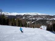 Piste Stoichartabfahrt