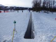 Krokskogen - Tapis roulant/Moving Carpet