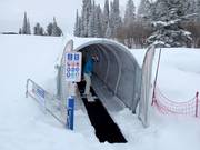 Magic Carpet 3 - Tapis roulant/Moving Carpet recouvert d’une galerie