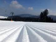 Très bonne préparation des pistes