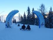 Bon plan pour les enfants : 