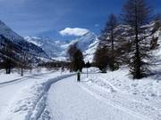 Piste de ski de fond jusqu’à l’extrémité du glacier de Morteratsch