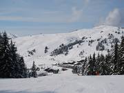 Piste Sapins à Les Saisies