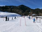 Bon plan pour les enfants : 