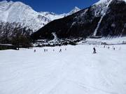 Piste d'entraînement Stafelwald