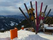 Bon plan pour les enfants : 