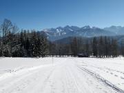 Piste facile du téléski Zauberlift au téléski Bergkristalllift