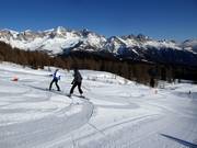 Piste facile Campo Scuola Le Buse (Falcade)