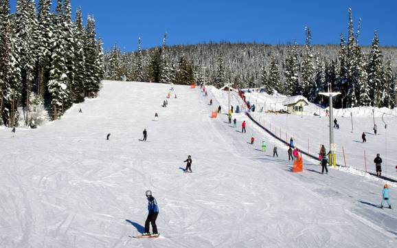 Domaines skiables pour les débutants sur le plateau intérieur – Débutants Sun Peaks