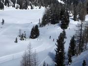 Piste de ski de fond Schwarzsee-Hochmoor