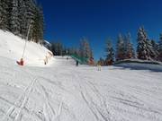 Descente Hochfeldern