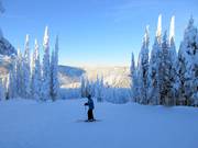 Piste Mid Life Crisis au Mt. Morrrisey