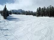 Piste facile Tumbleweed au télésiège Huckleberry