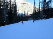 Piste facile de vallée Banff Avenue