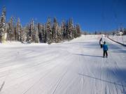 Piste d'entraînement très facile au Village Platter