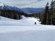 Piste au téléski Seewald II