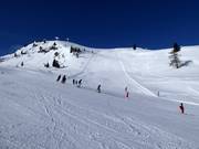 Pistes au télésiège 6 places Wastenegg