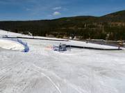 Bon plan pour les enfants : 