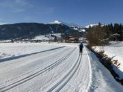 Pistes de ski de fond avec vue sur Lermoos et le Grubigstein