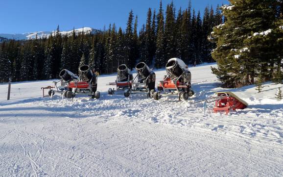 Fiabilité de l'enneigement Parc national de Jasper – Fiabilité de l'enneigement Marmot Basin – Jasper